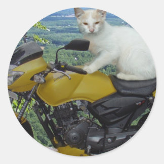 Biker Cat Sticker