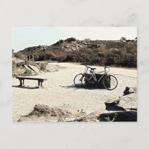Bikes at Ease Postcard