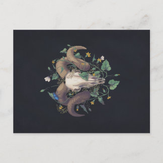 Bildserie Leben Und Tod: Schafschädel Postcard