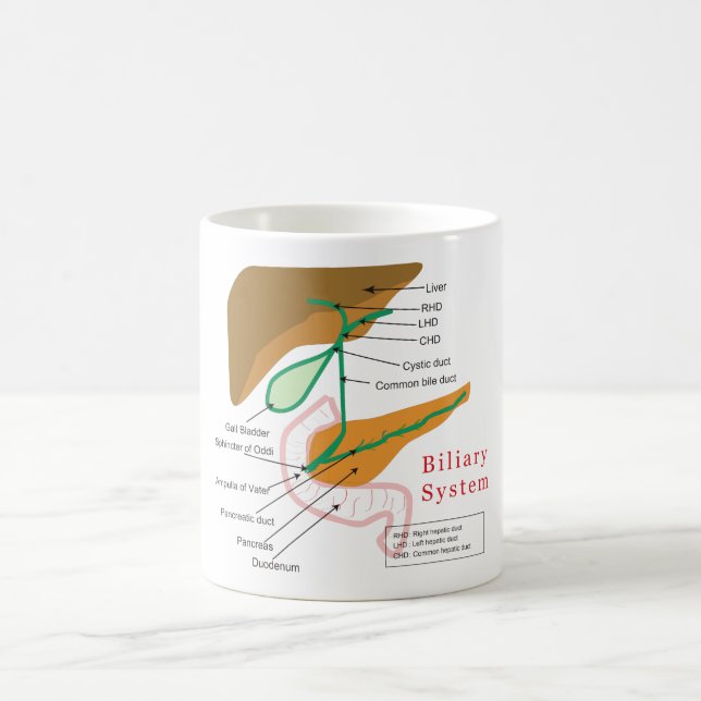 Biliary System Diagram Chart Bile Duct Coffee Mug (Center)