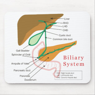 Biliary System Diagram Chart Bile Duct Mouse Pad