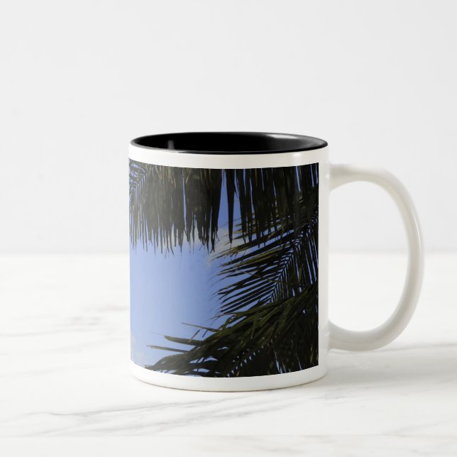 Bill Baggs Cape Florida Lighthouse, Bill Baggs 2 Two-Tone Coffee Mug (Right)