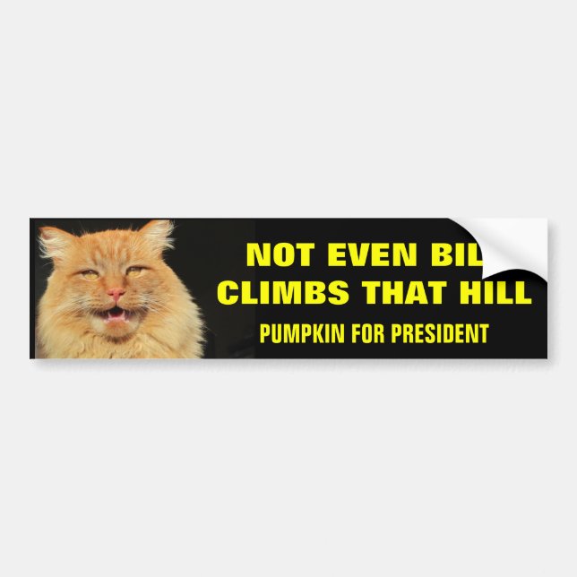 Bill Don't Climb That Hill...Pumpkin for President Bumper Sticker (Front)
