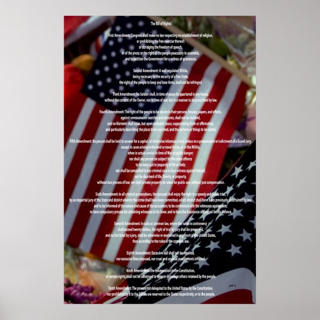Bill of Rights Poster (Front)