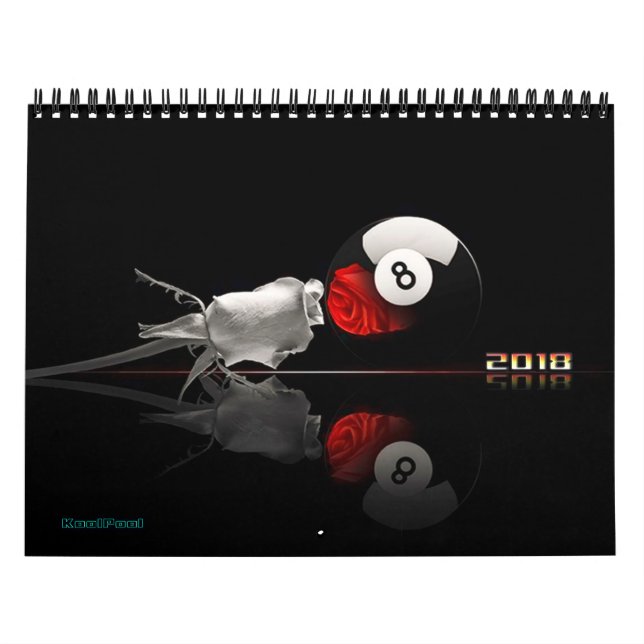 Billiards Calendar 2018 (Cover)