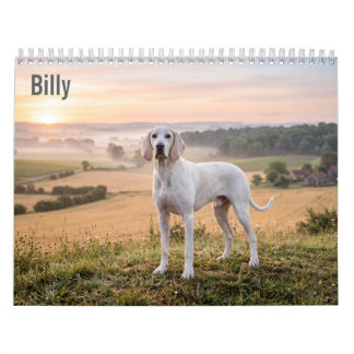 Billy 2027 Wall calendar