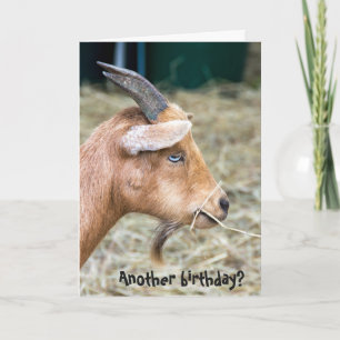 billy goat birthday card