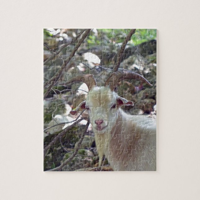 Billy Goat Jigsaw Puzzle (Vertical)