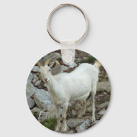 Billy Goat