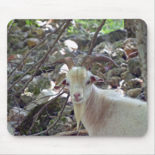 Billy Goat Mouse Pad