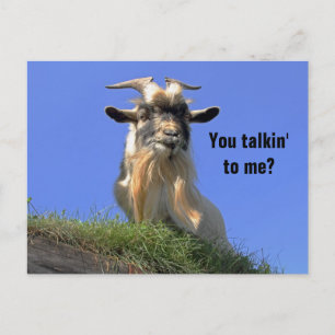 Billy Goat Photo Postcard