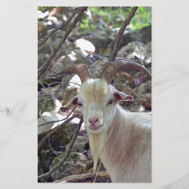 Billy Goat Stationery (Front)