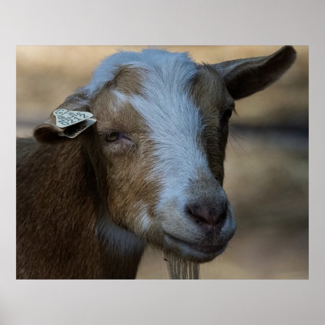 Billy Poster (Front)