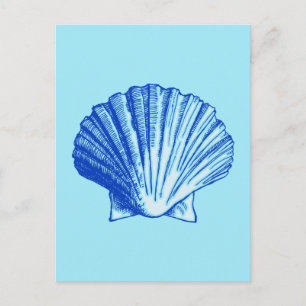 Bimini Blue Sea Shell Postcard