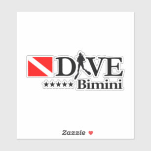 Bimini DV4