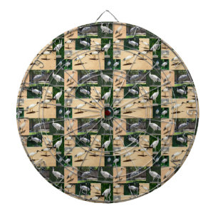 Bin Chicken Chronicles: Photo Collage Of The Ibis Dartboard