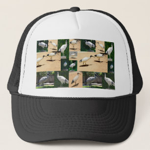 Bin Chicken Chronicles: Photo Collage Of The Ibis Trucker Hat