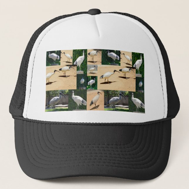 Bin Chicken Chronicles: Photo Collage Of The Ibis Trucker Hat (Front)