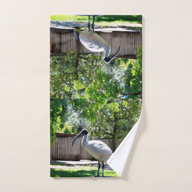Bin Chicken (iBIS)  Hand Towel (Hand Towel)
