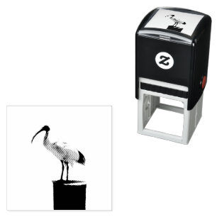 Bin Chicken, (Ibis) Oil Paint, Self-inking Stamp
