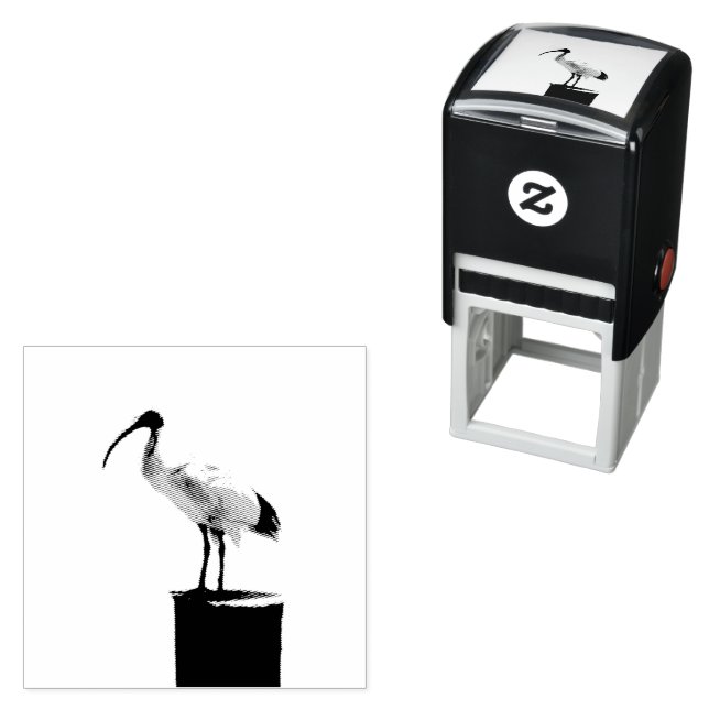 Bin Chicken, (Ibis) Oil Paint, Self-inking Stamp (In Situ)