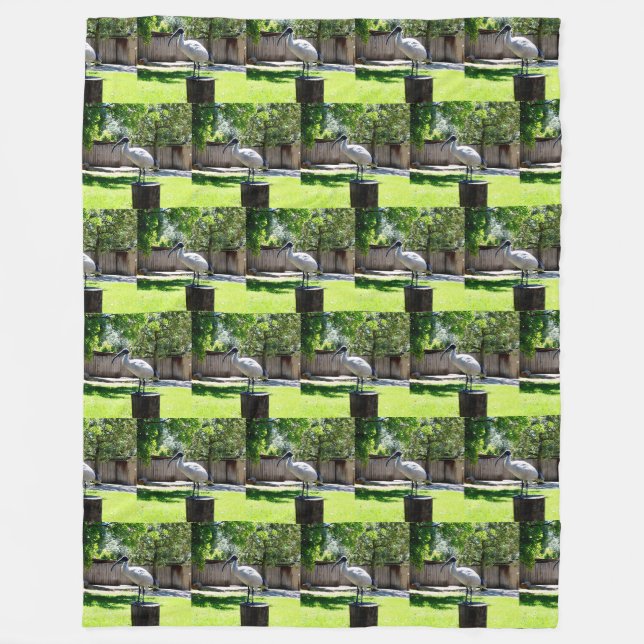 Bin Chicken (ibis) On A Tree Stump,  Fleece Blanket (Front)