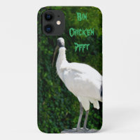 Bin Chicken Known As The Ibis,