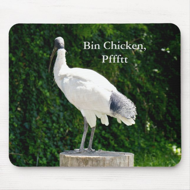 Bin Chicken Pfftt (Ibis) Mousepad (Front)