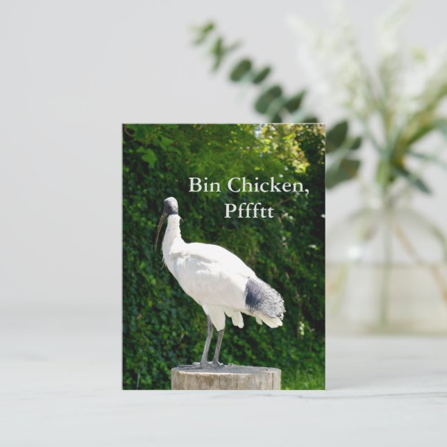 Bin Chicken Pfftt (Ibis) Postcard (Standing Front)