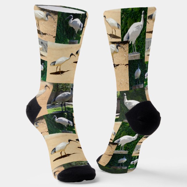 Bin Chicken Photo Collage, Crew Socks (Angled)