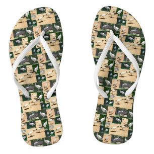 Bin Chicken Photo Collage, Flip Flops