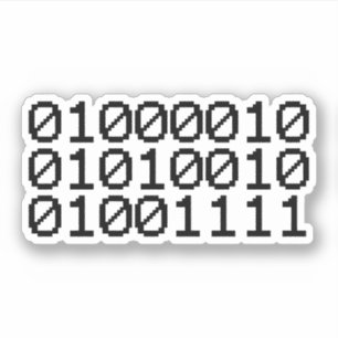 BINARY BRO