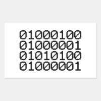 BINARY DATA