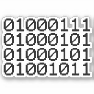 BINARY GEEK