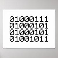 BINARY GEEK