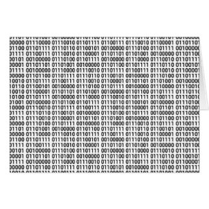 Binary: I love to program
