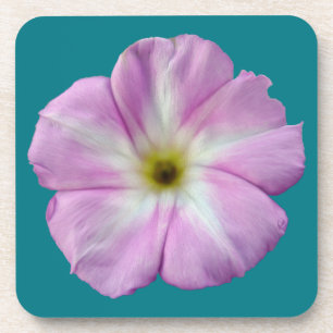 Bindweed #1 coaster