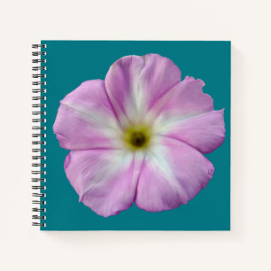 Bindweed #1 notebook