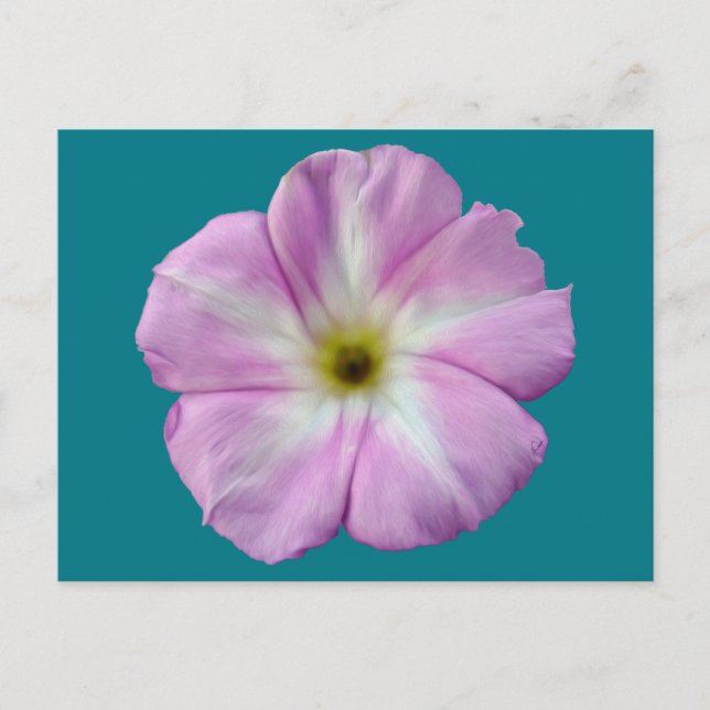 Bindweed #1 postcard (Front)