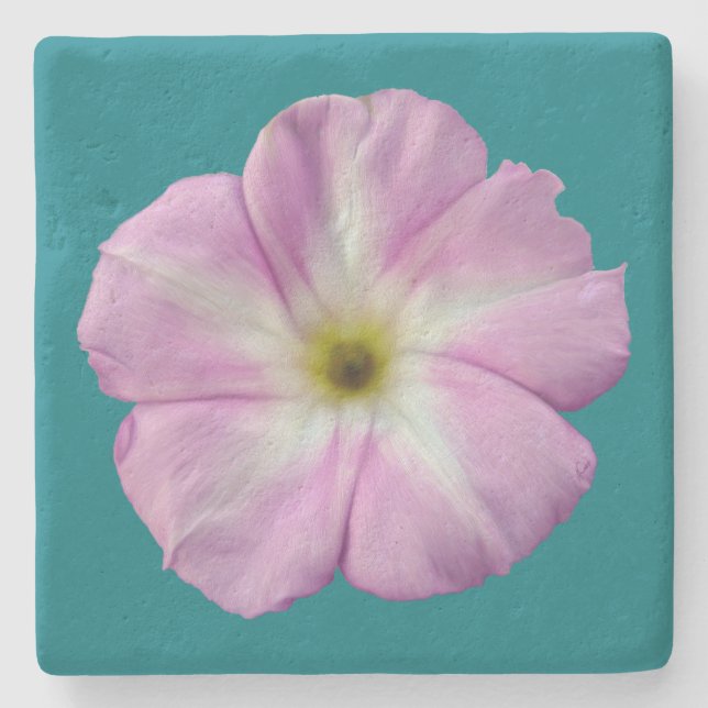 Bindweed #1 stone coaster (Front)