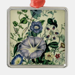 Bindweed, plate 26 from 'The Ladies Metal Tree Decoration