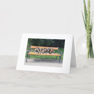 Bingo Bear Greeting Card