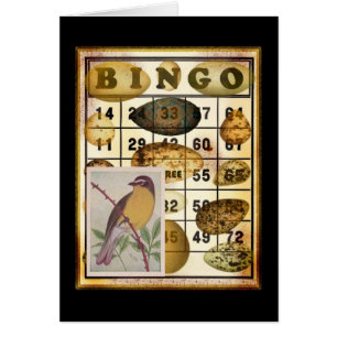 Bingo Bird