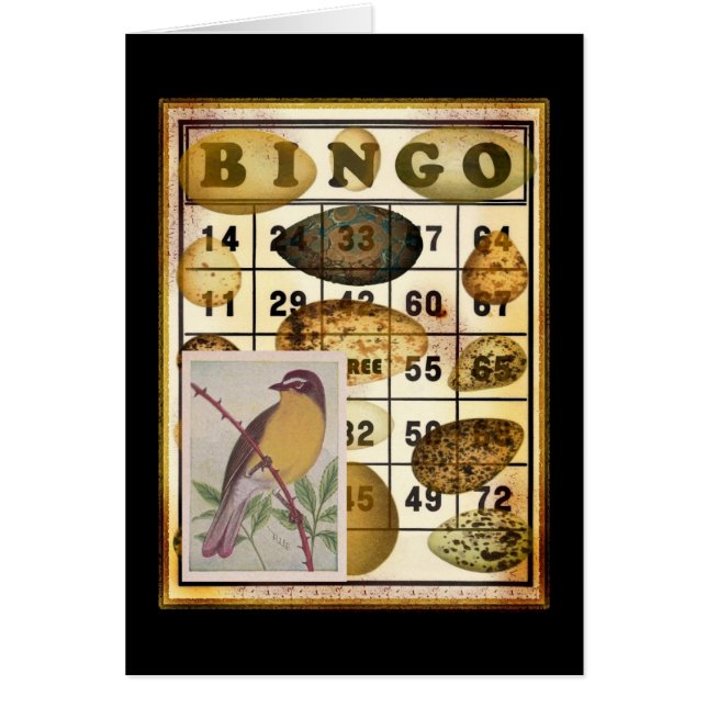 Bingo Bird (Front)