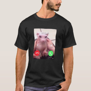 Bingus Is Calling My Beloved Hairless Sphinx Cat 1 T-Shirt