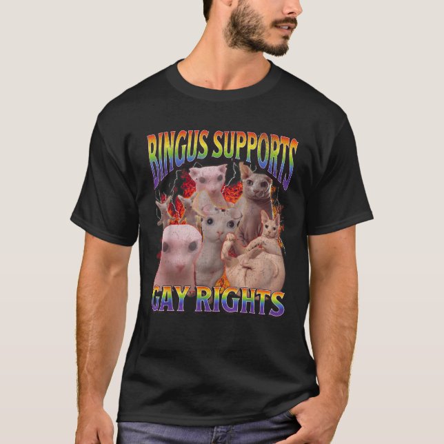 Bingus Supports Gay Rights Funny Sphinx Cat Meme B T-Shirt (Front)