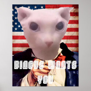 BINGUS WANTS YOU POSTER
