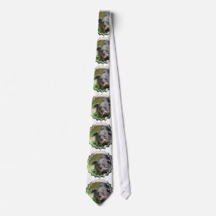 Binturong Tie