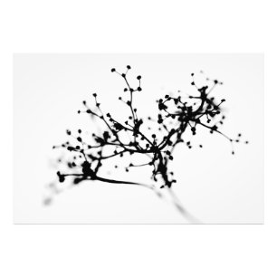 Biochemistry of winter photo print