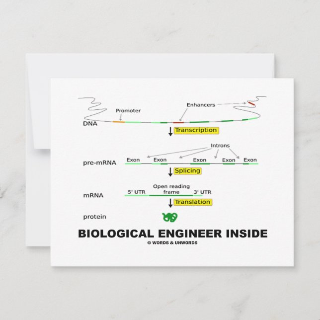 Biological Engineer Inside (Front)